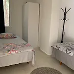 Roni גולם