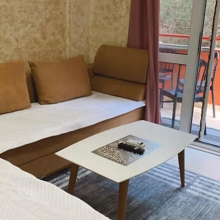 Roni Apartmán *