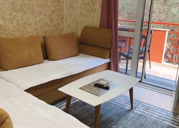 Roni Apartmán *